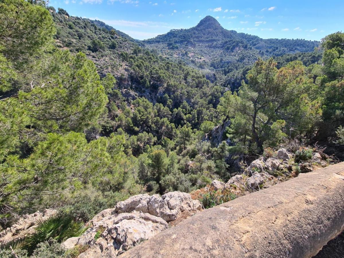 Wunderschoene Ruhige Finca Mit Pool In Galilea กาลิเลีย ภายนอก รูปภาพ