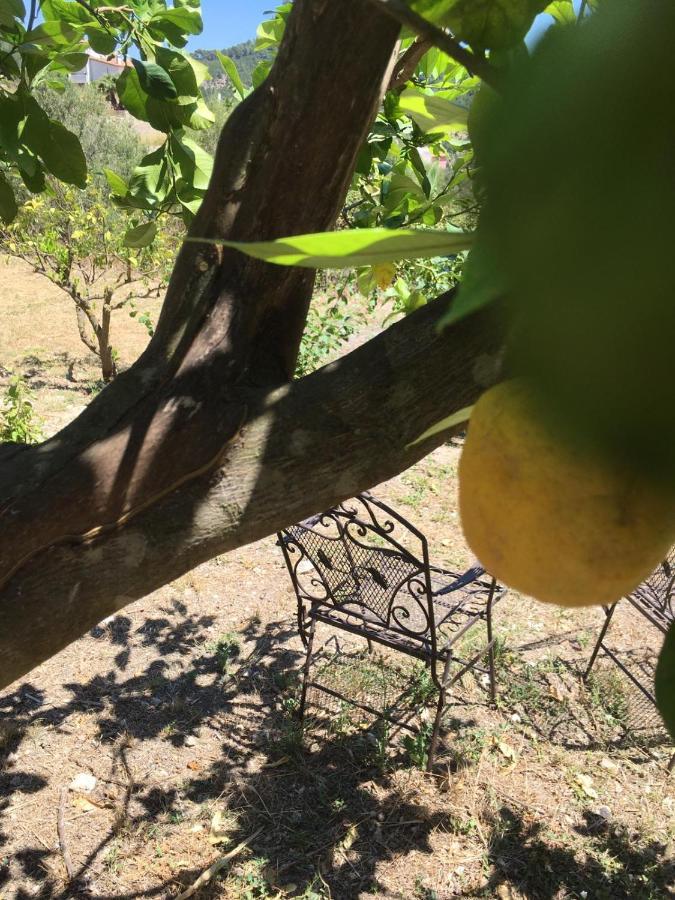 Wunderschoene Ruhige Finca Mit Pool In Galilea กาลิเลีย ภายนอก รูปภาพ